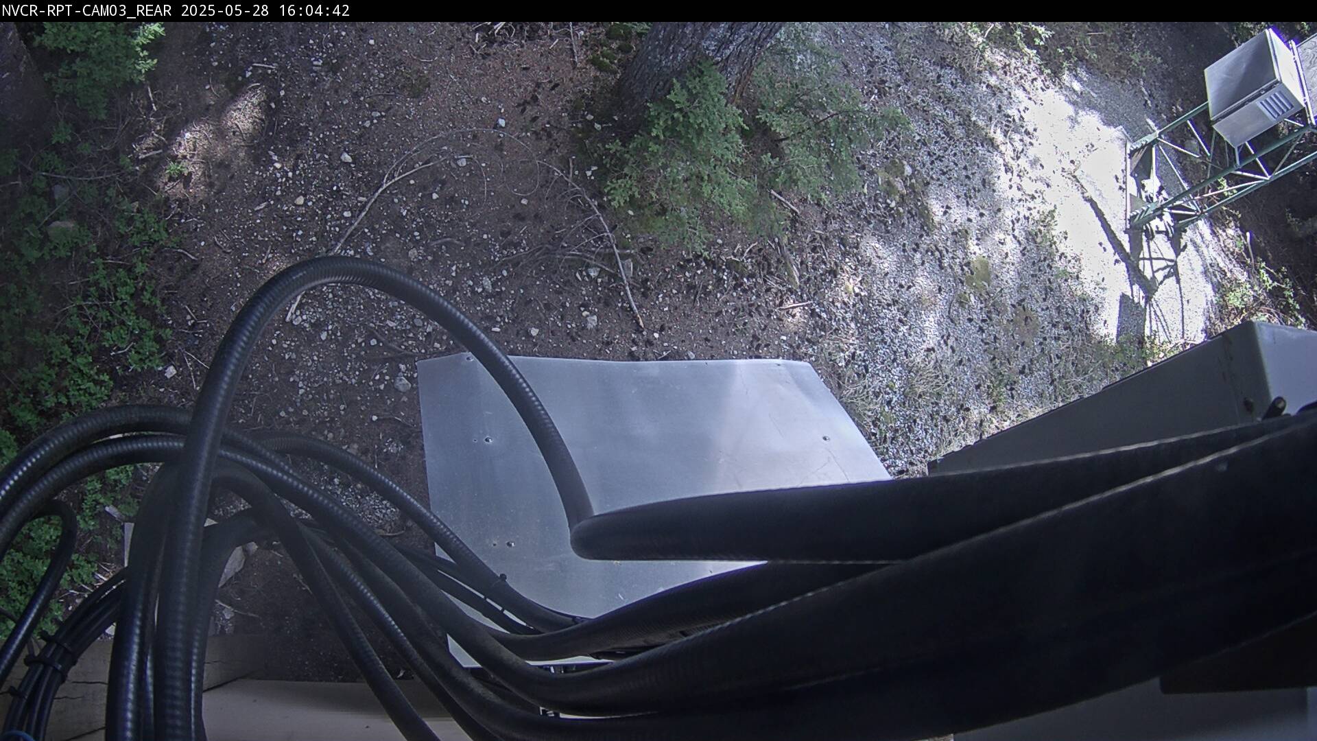 Web Cam History Image - 981