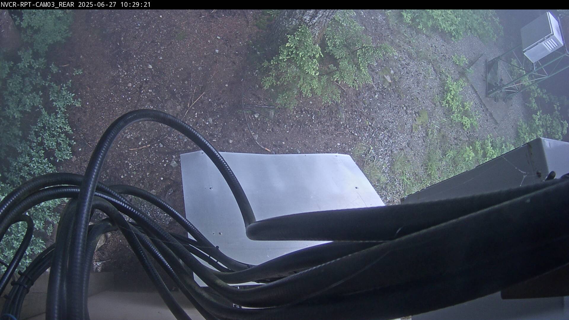 Web Cam History Image - 981