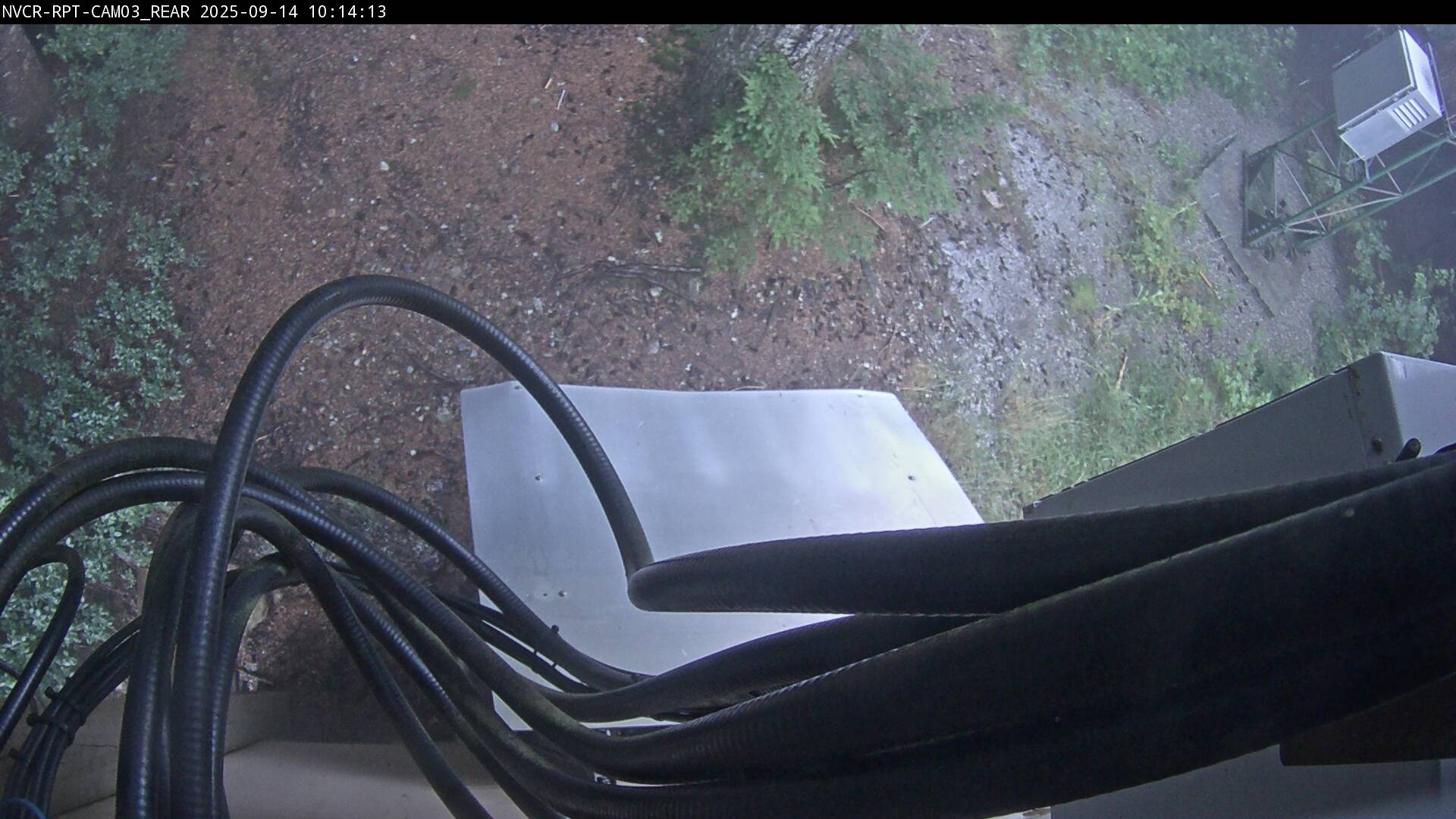 Web Cam History Image - 981
