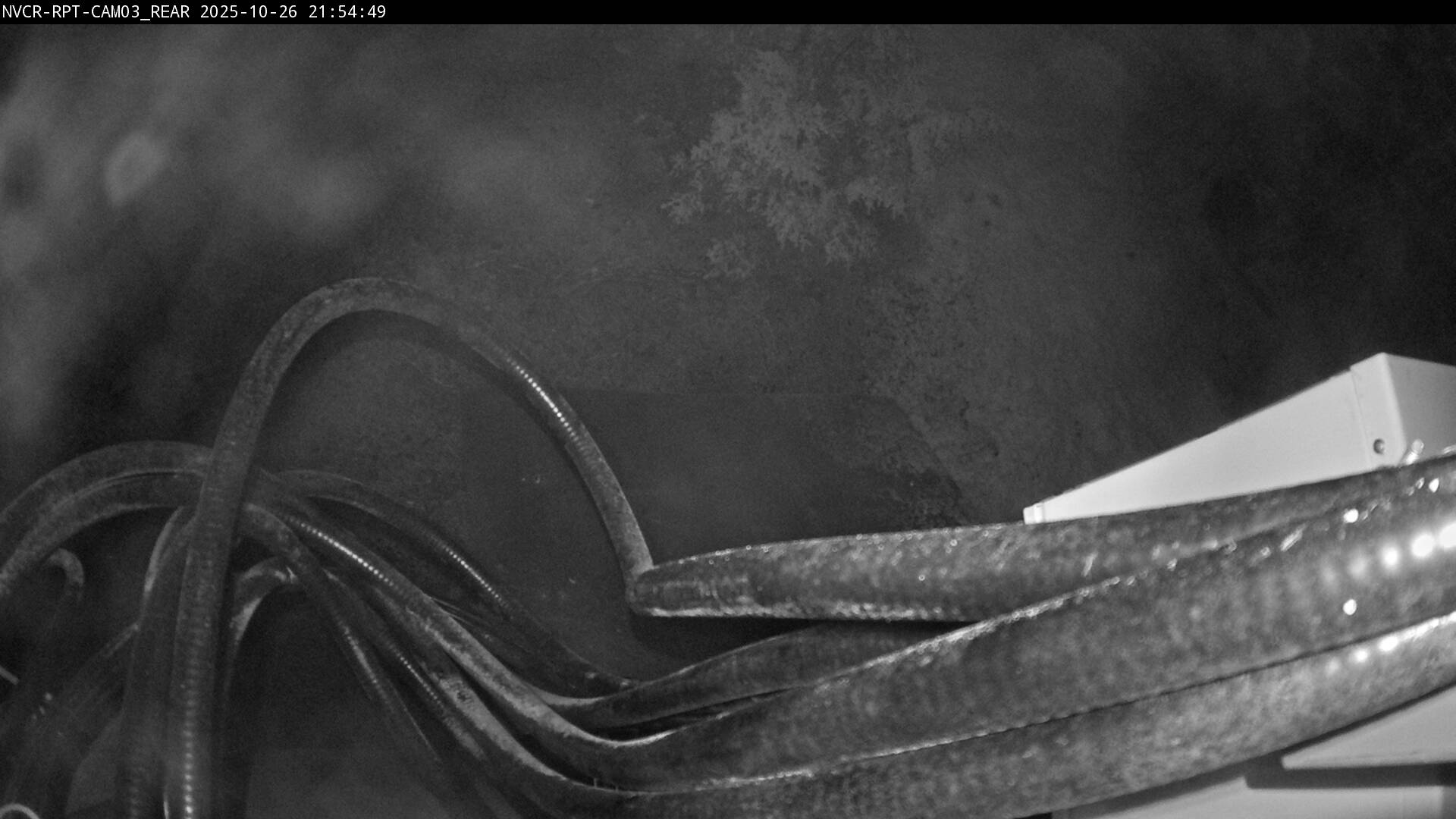 Web Cam History Image - 981