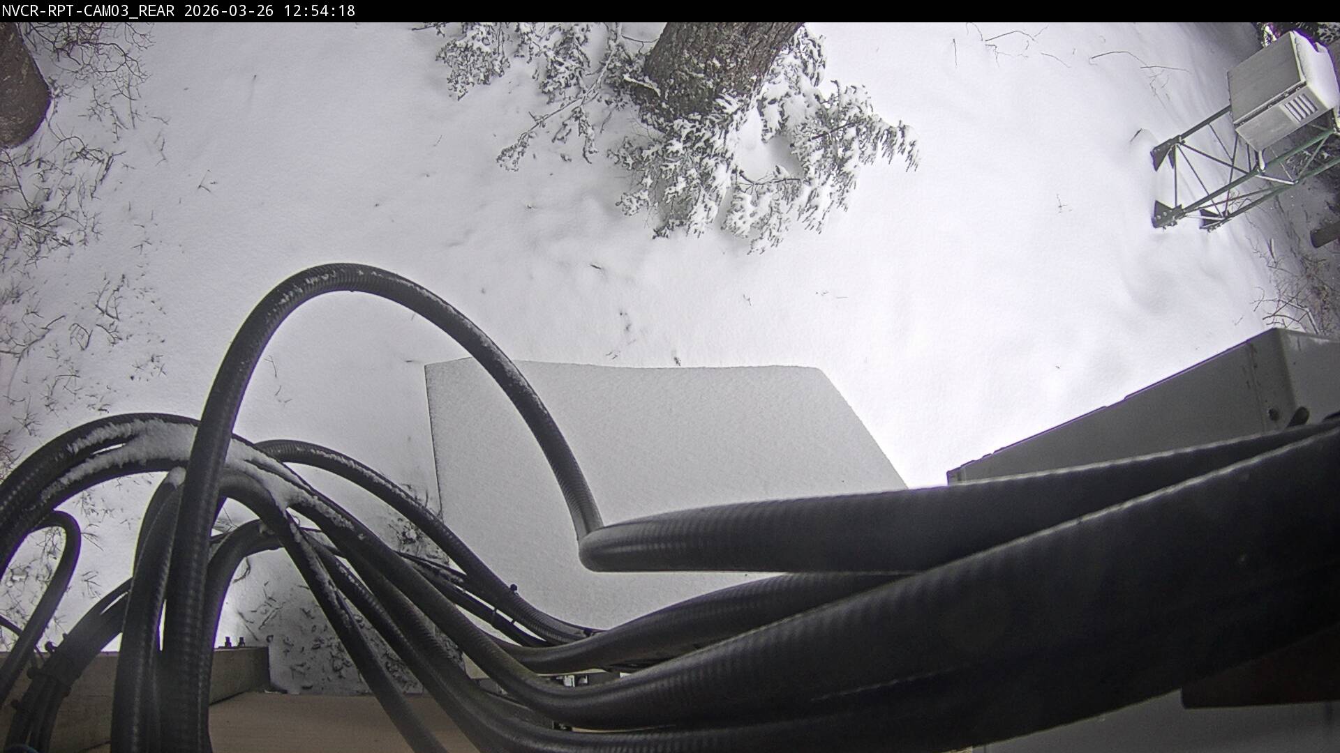 Web Cam History Image - 981