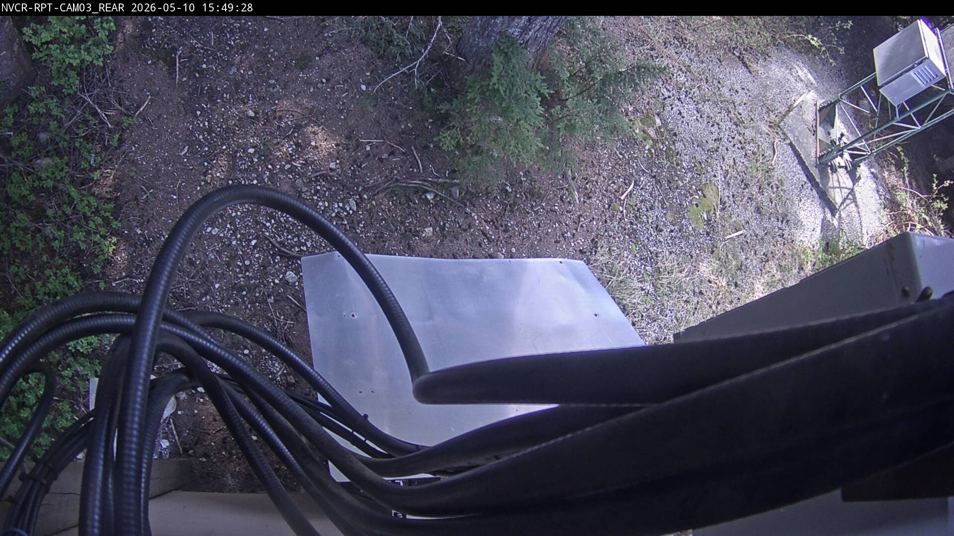 Web Cam History Image - 981