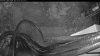 Web Cam Image - Mon, 05/04/2026 3:54am PDT