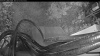 Web Cam Image - Fri, 07/24/2026 4:29am PDT