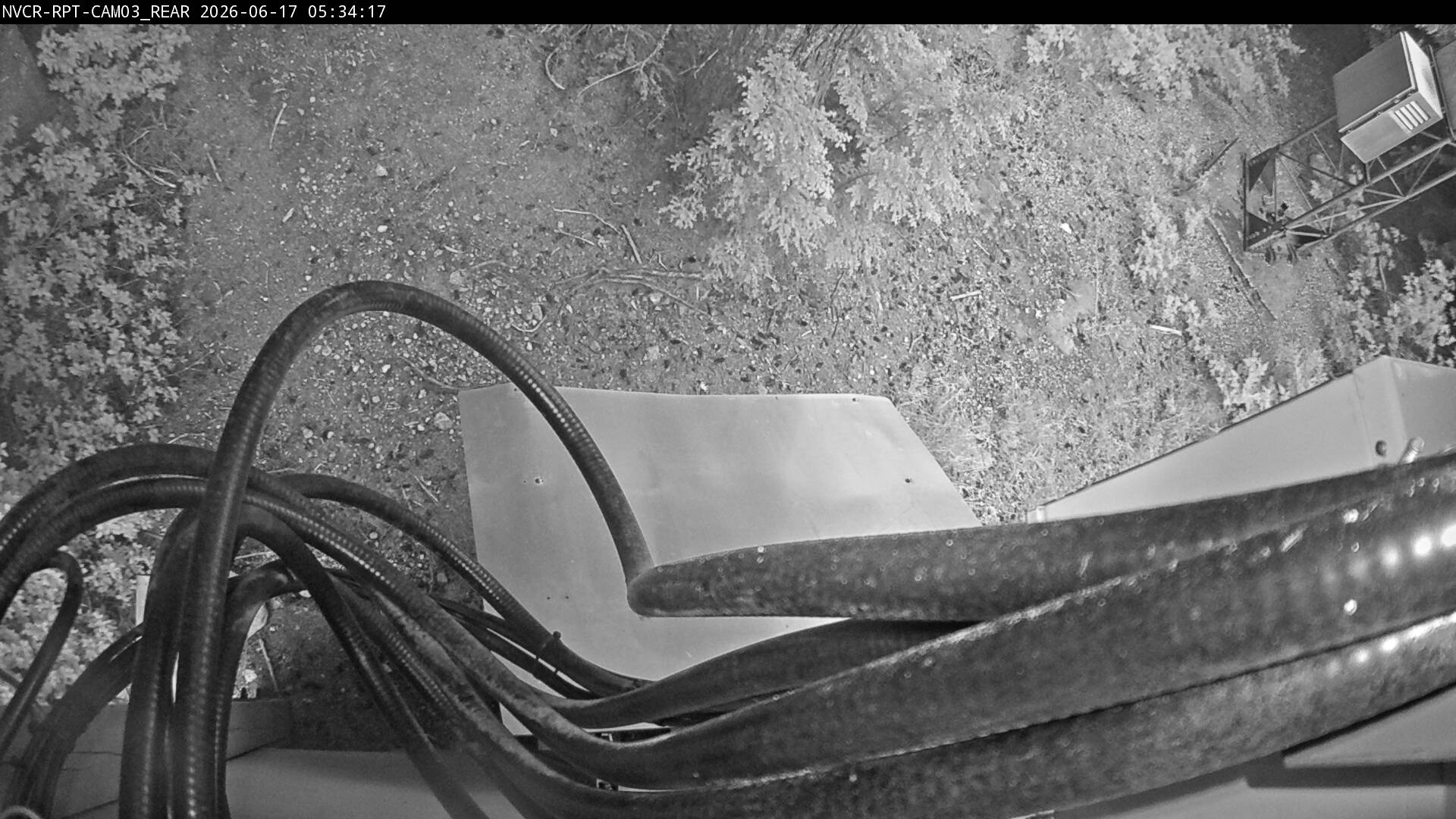 Web Cam History Image - 985