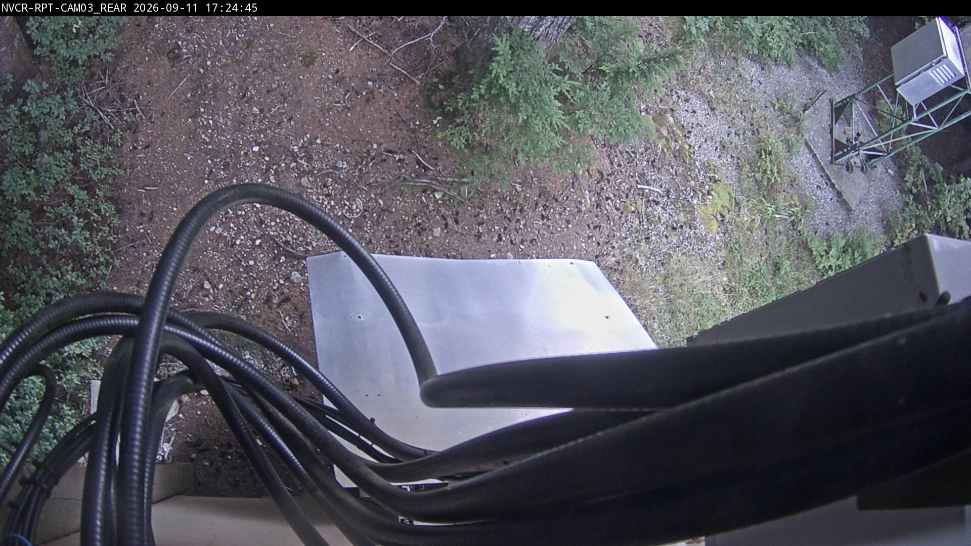 Web Cam History Image - 987