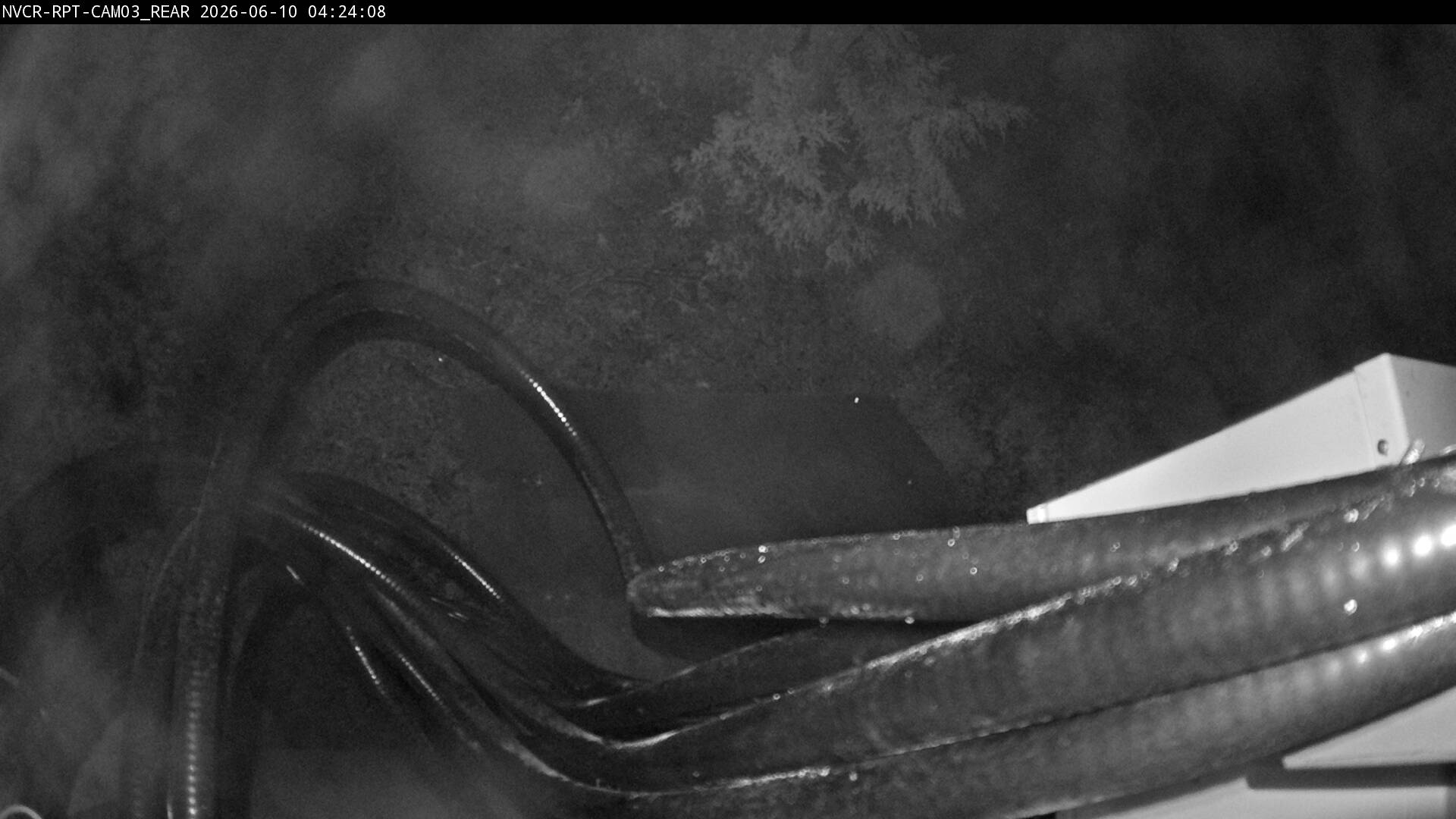Web Cam History Image - 989