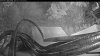 Web Cam Image - Wed, 10/14/2026 6:39am PDT