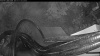 Web Cam Image - Sat, 10/17/2026 6:34am PDT