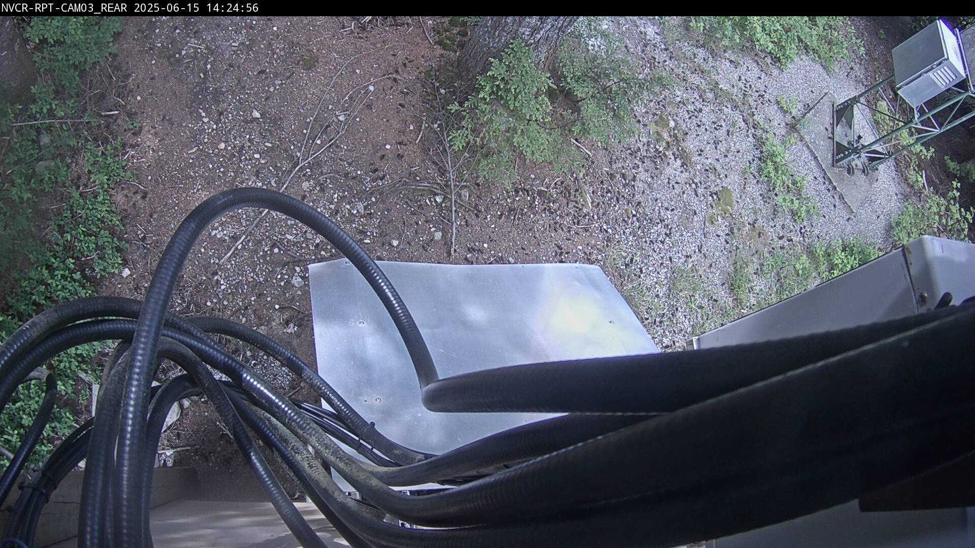 Web Cam History Image - 100