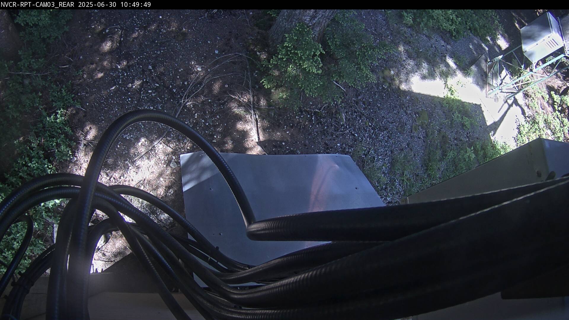 Web Cam History Image - 100