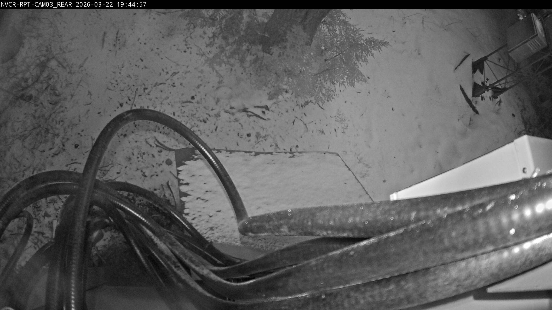 Web Cam History Image - 100