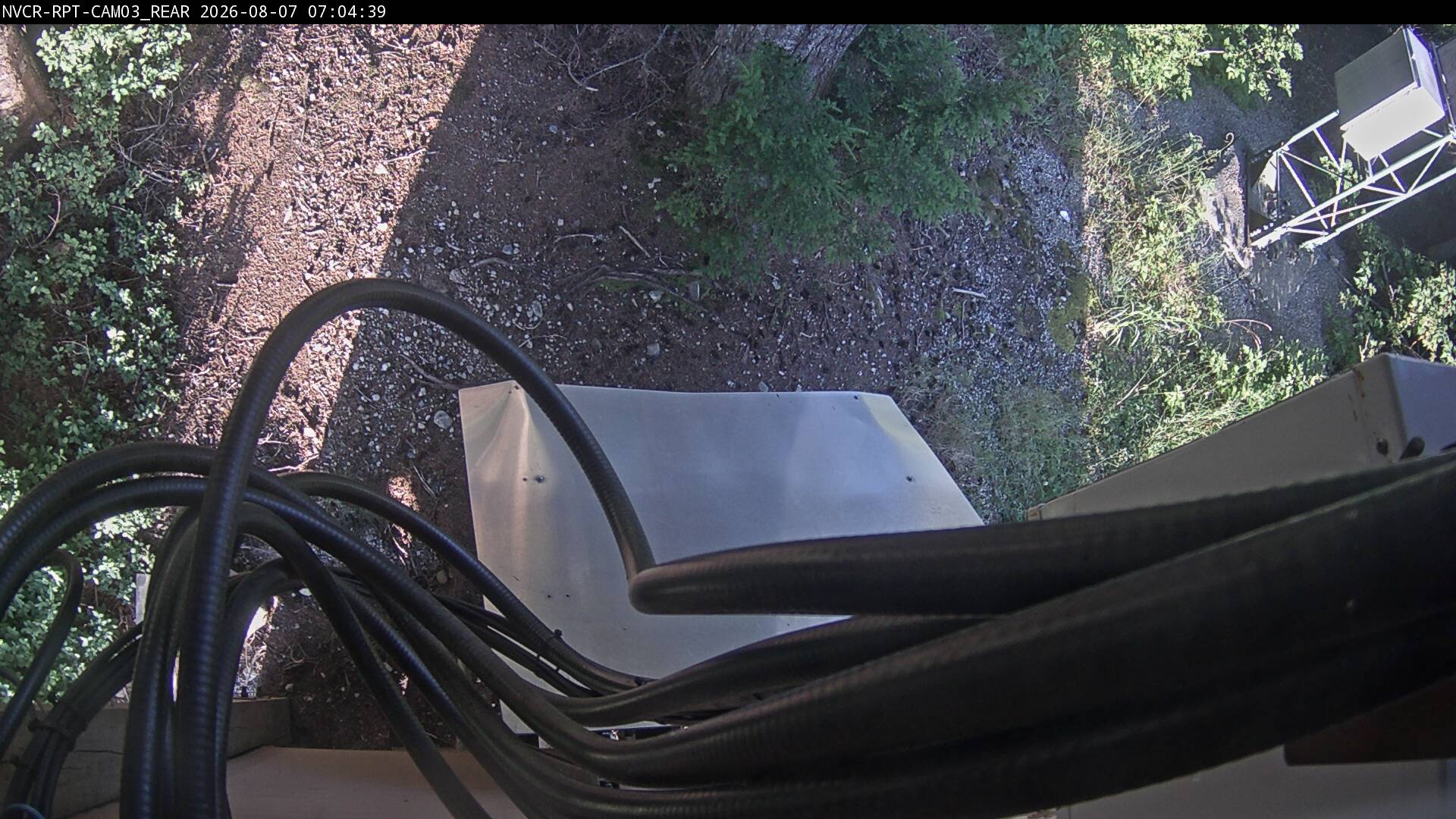 Web Cam History Image - 100
