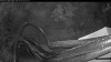 Web Cam Image - Fri, 05/08/2026 4:04am PDT