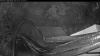 Web Cam Image - Mon, 05/25/2026 8:59pm PDT