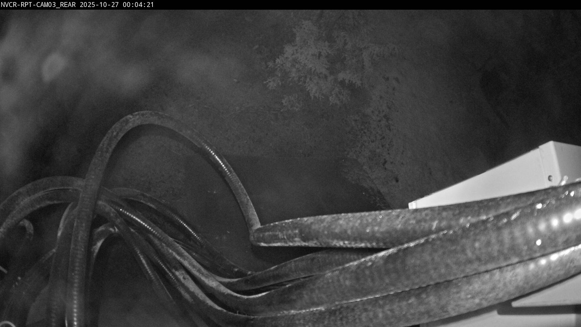 Web Cam History Image - 991