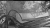 Web Cam Image - Wed, 07/29/2026 4:39am PDT