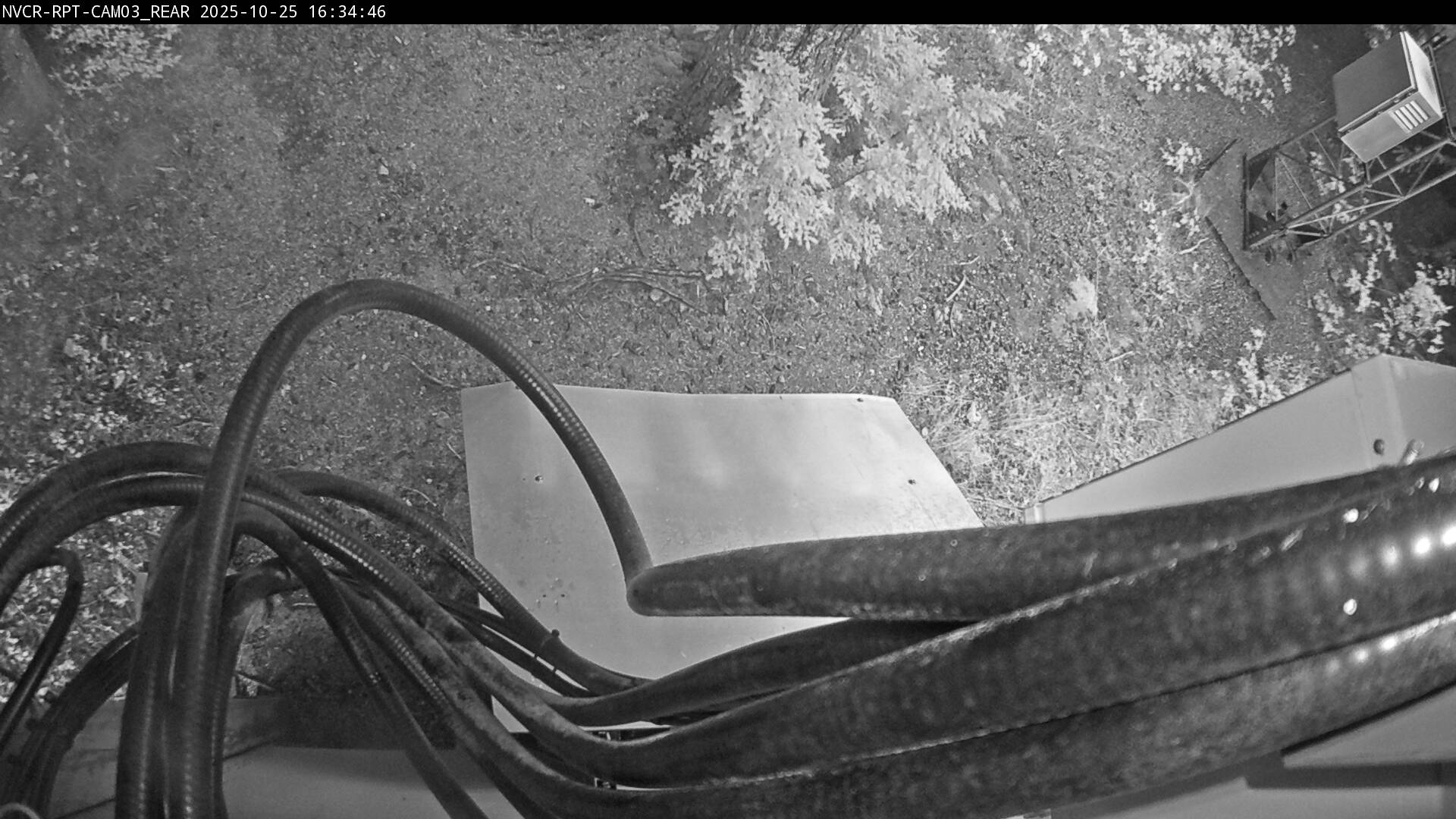 Web Cam History Image - 994