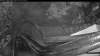 Web Cam Image - Wed, 07/29/2026 4:24am PDT