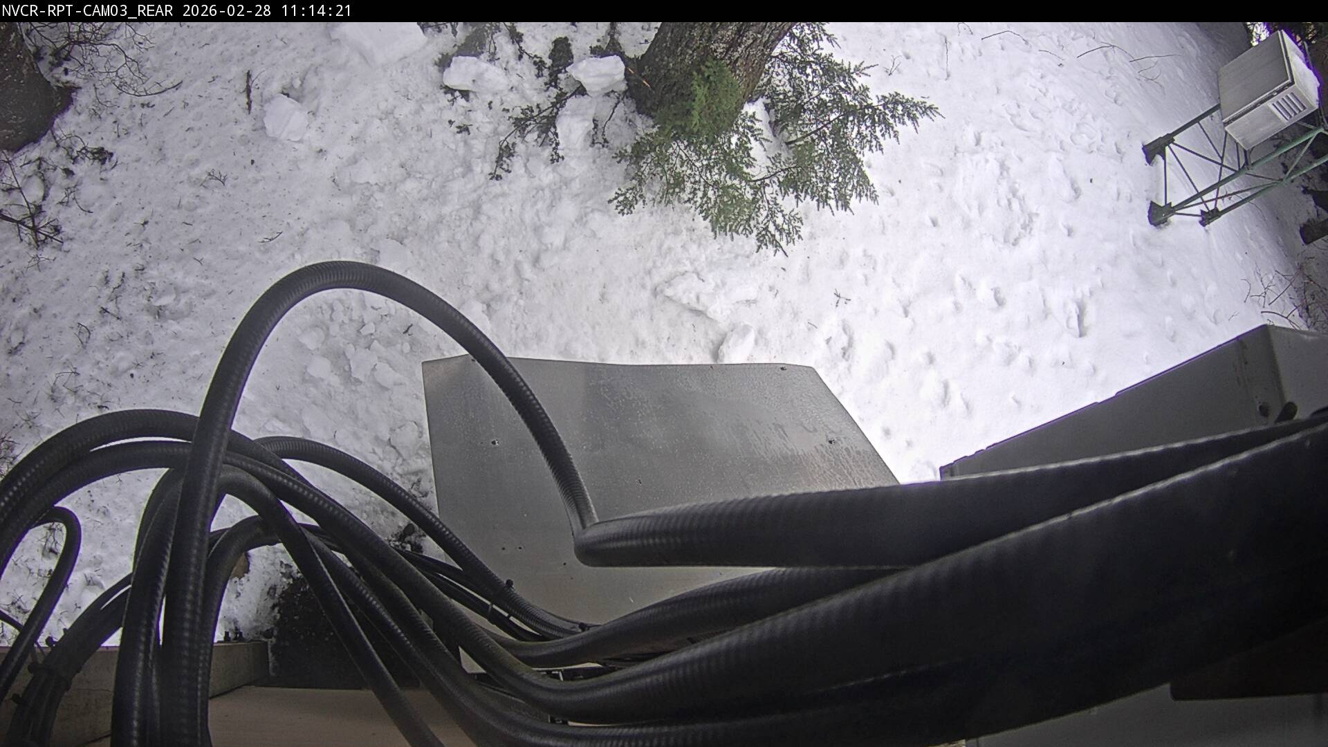 Web Cam History Image - 995