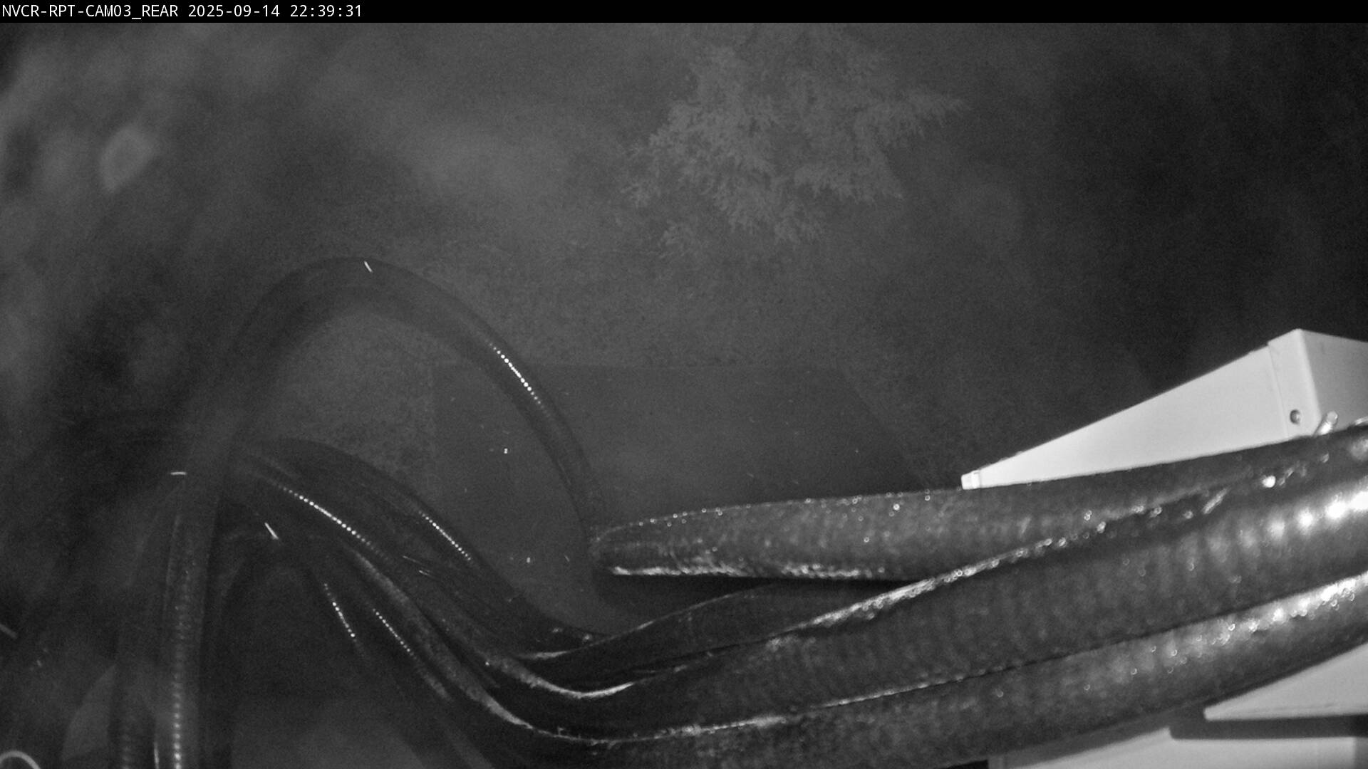 Web Cam History Image - 996
