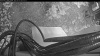 Web Cam Image - Sat, 05/16/2026 5:09am PDT