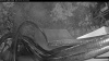 Web Cam Image - Thu, 07/30/2026 4:34am PDT