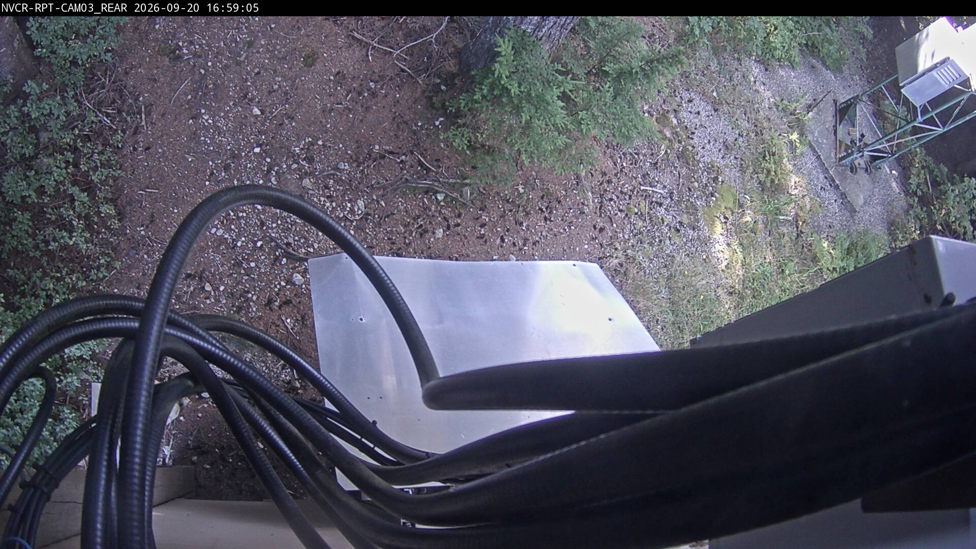 Web Cam History Image - 997