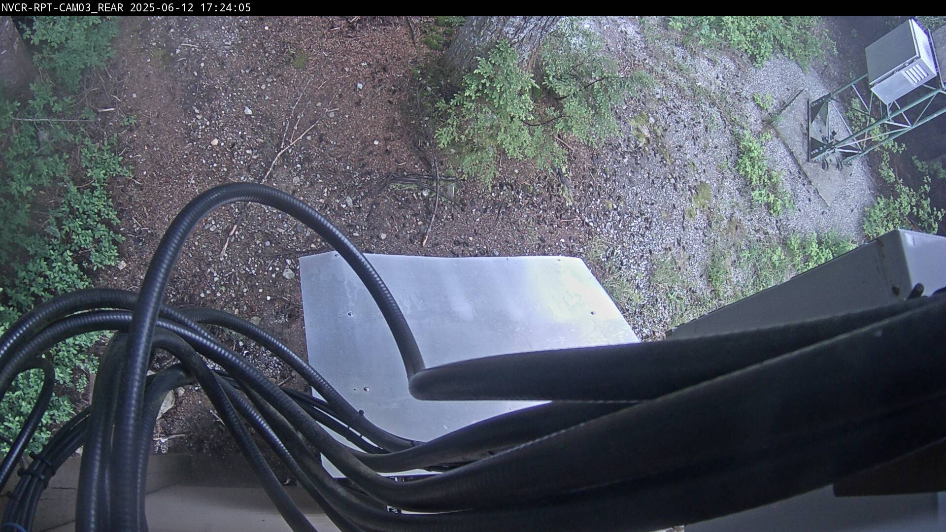Web Cam History Image - 998