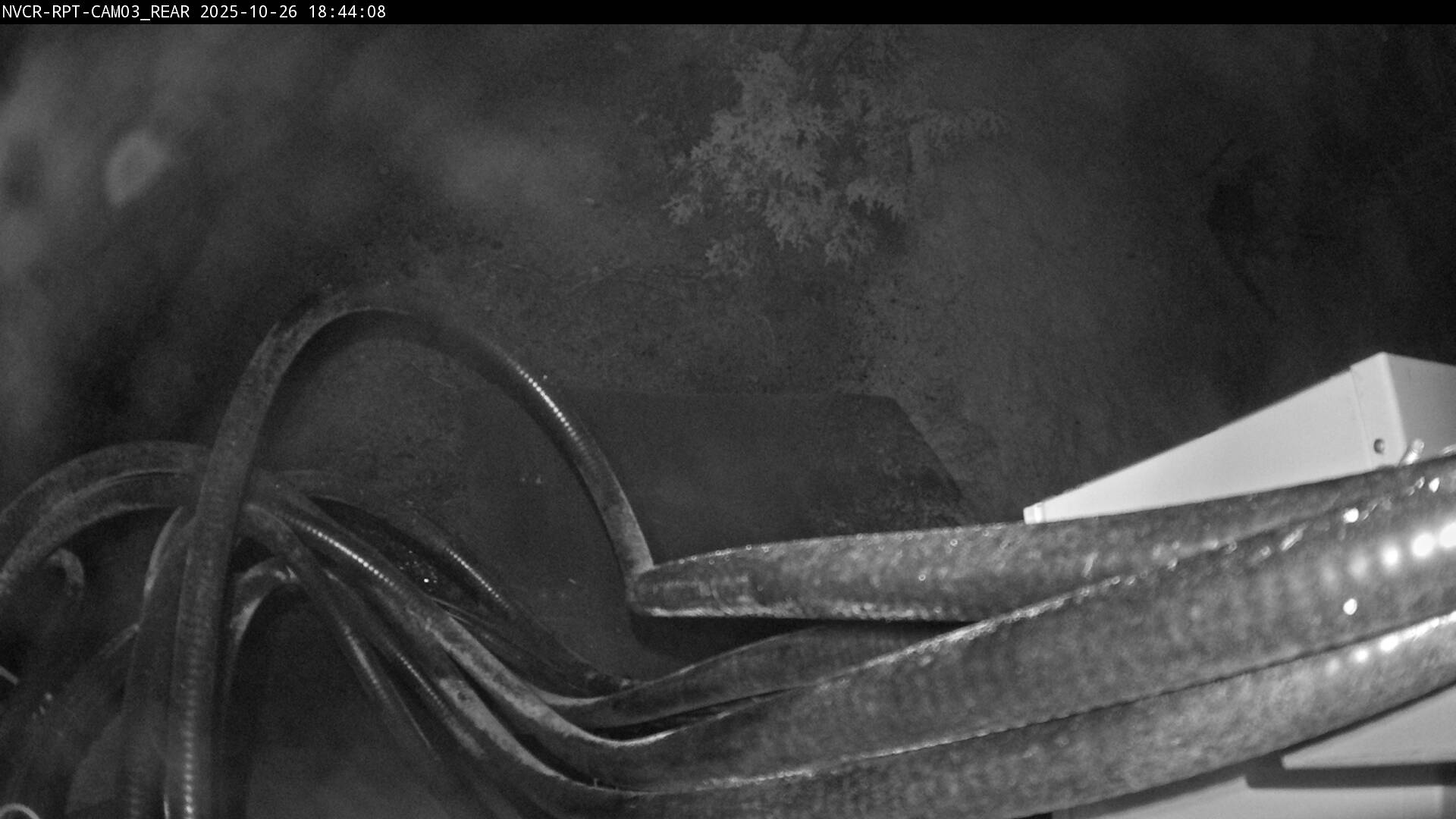 Web Cam History Image - 998