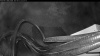 Web Cam Image - Sat, 08/22/2026 1:29am PDT