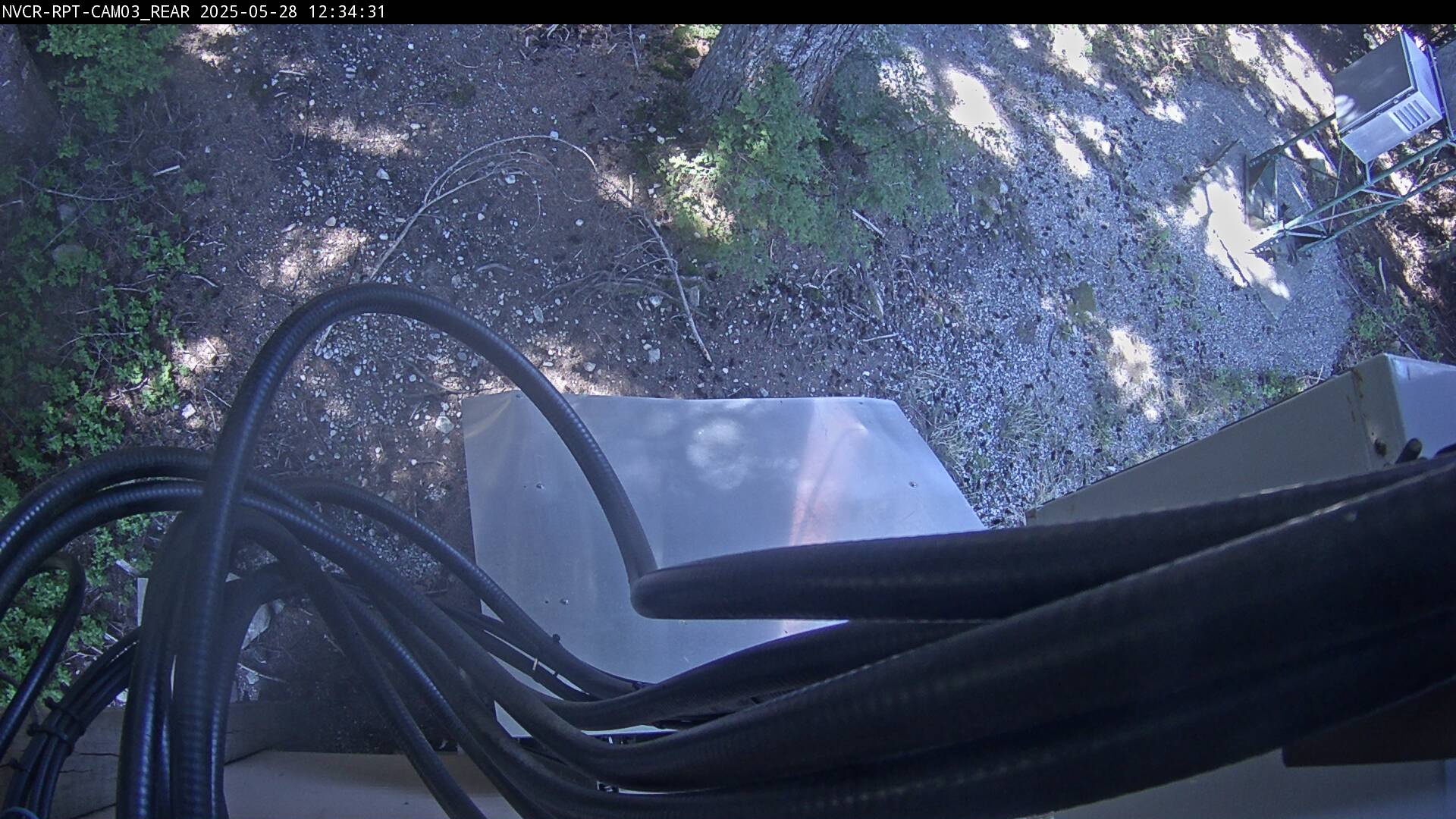 Web Cam History Image - 999