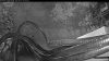 Web Cam Image - Sat, 08/15/2026 4:49am PDT