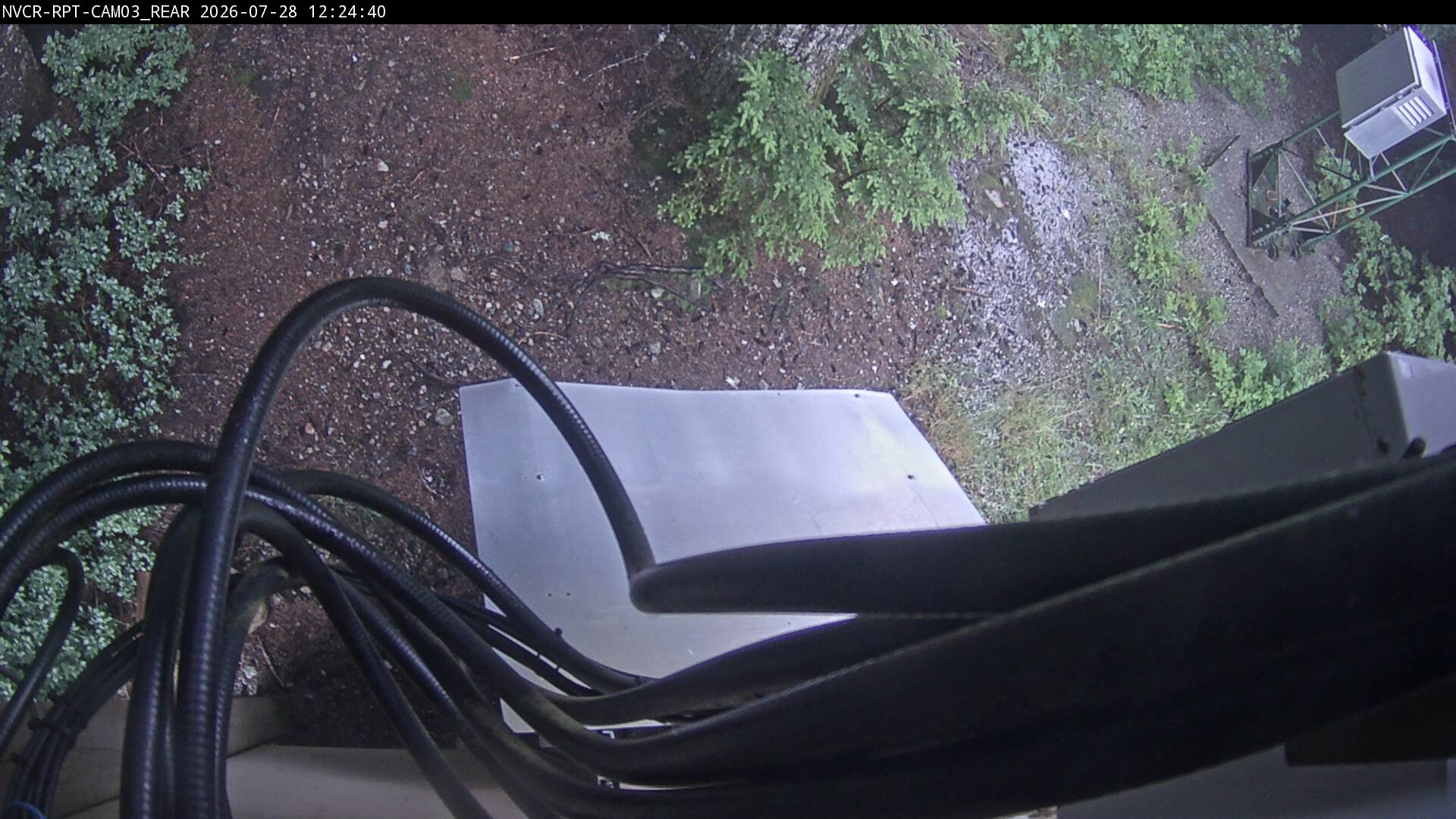 Web Cam History Image - 1000